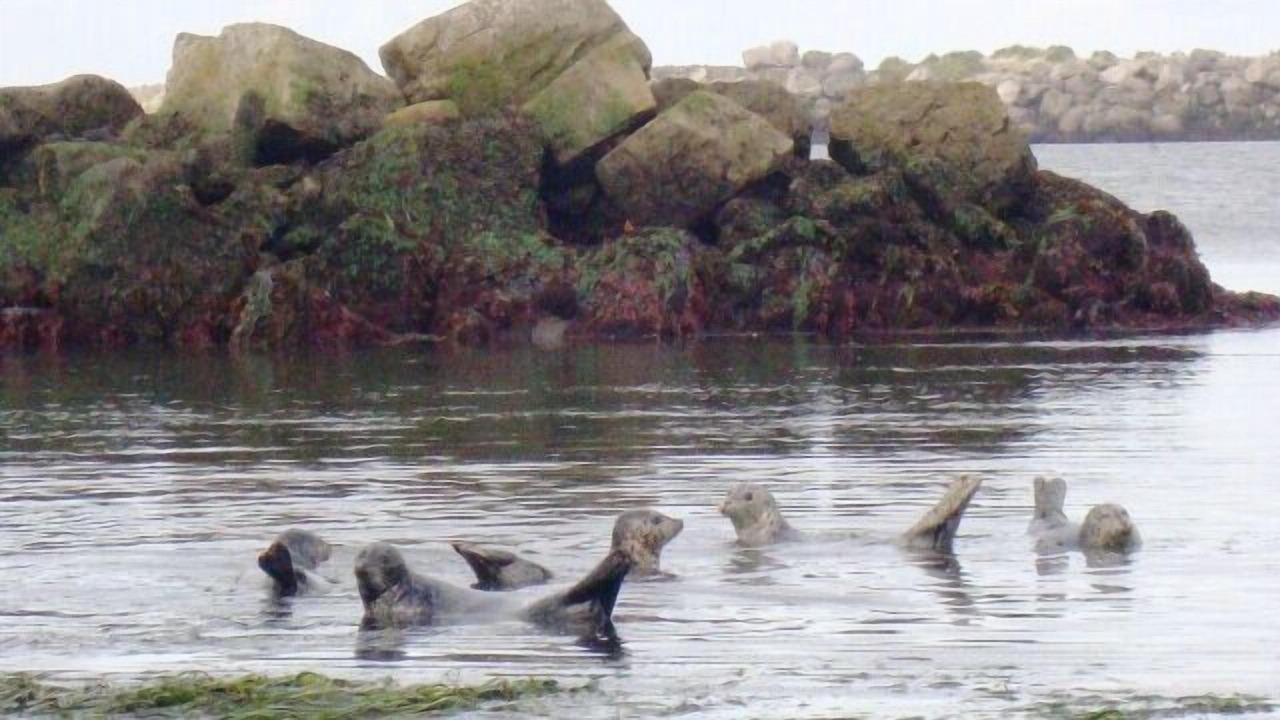 Photo of Others in Newport