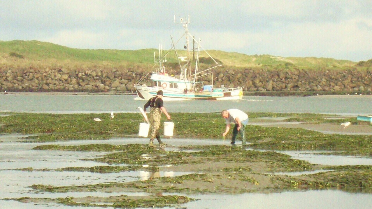 Photo of Others in Newport