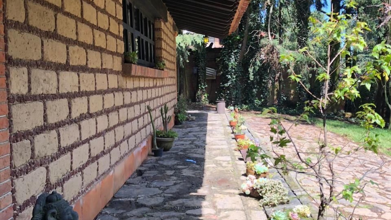 Photo of Outdoor in Alvaro Obregon