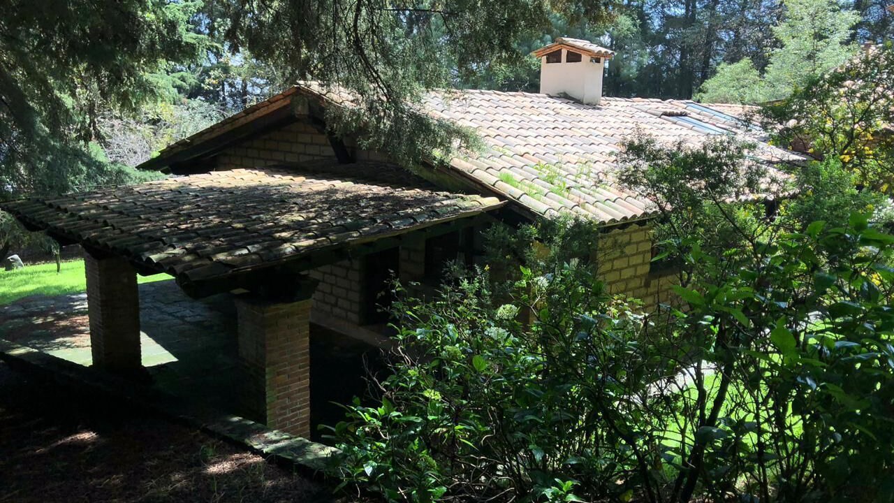 Photo of Outdoor in Alvaro Obregon