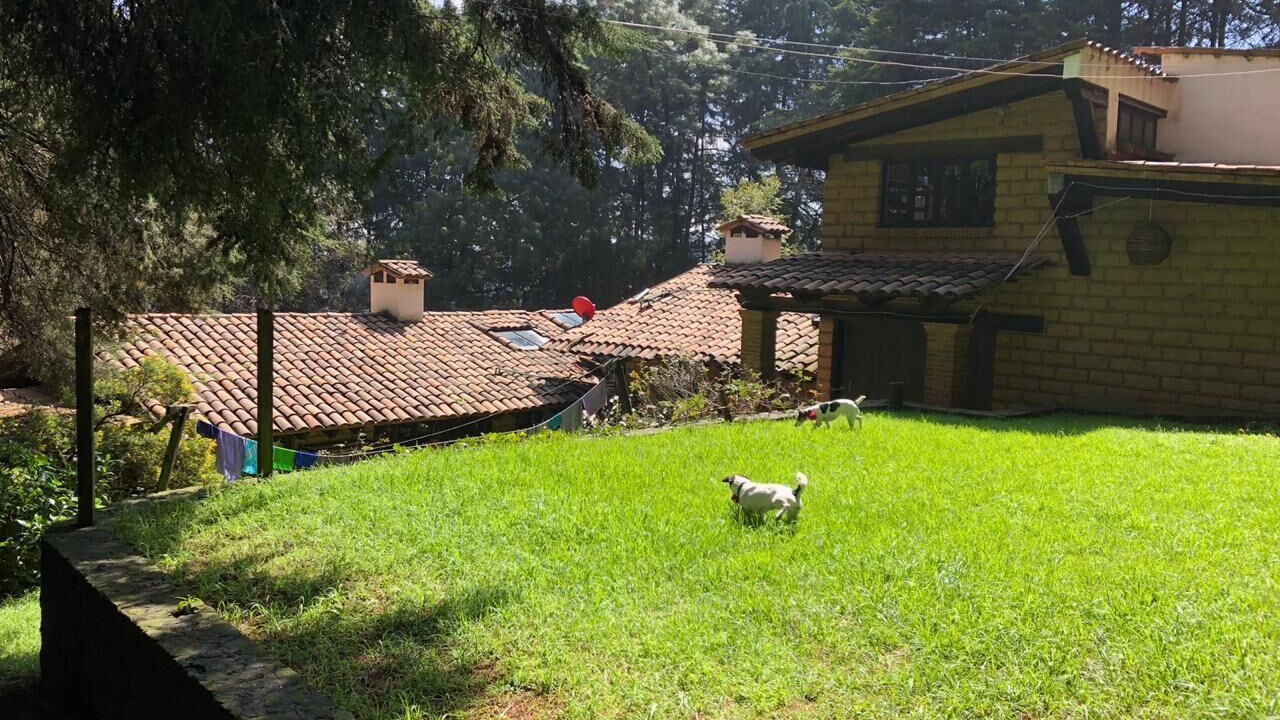 Photo of Outdoor in Alvaro Obregon