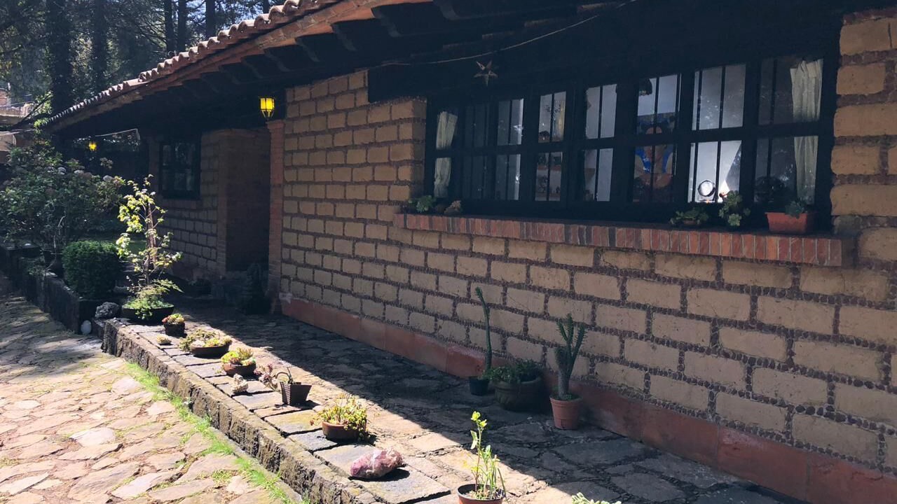 Photo of Outdoor in Alvaro Obregon