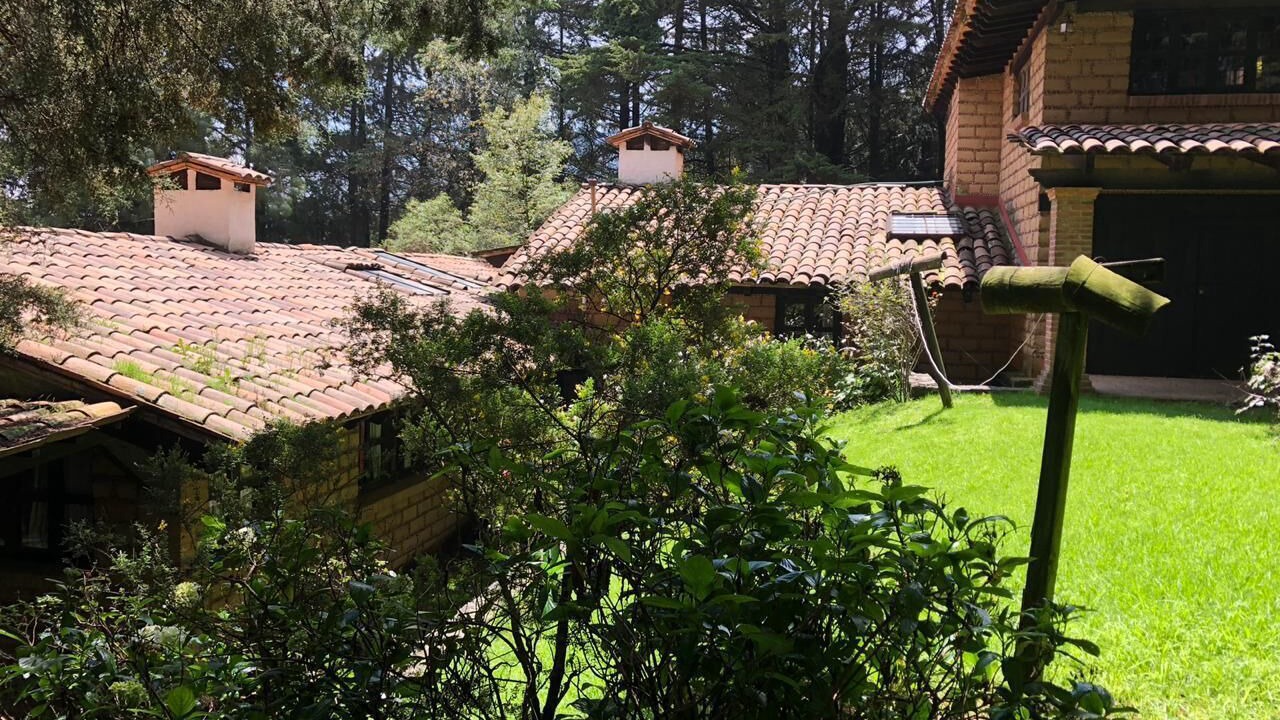 Photo of Outdoor in Alvaro Obregon