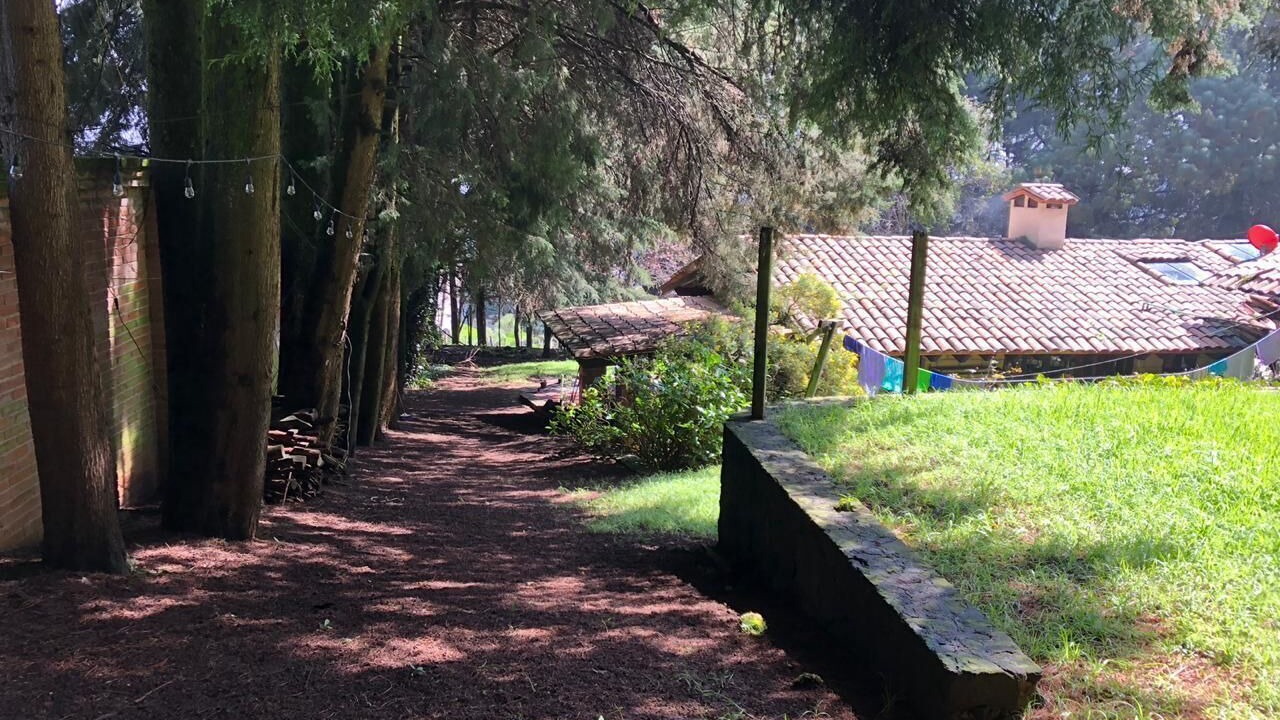 Photo of Outdoor in Alvaro Obregon