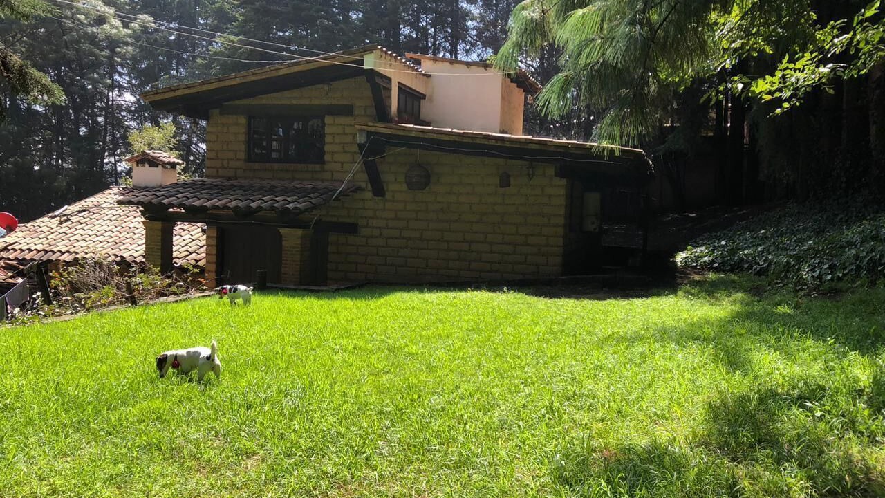 Photo of Outdoor in Alvaro Obregon