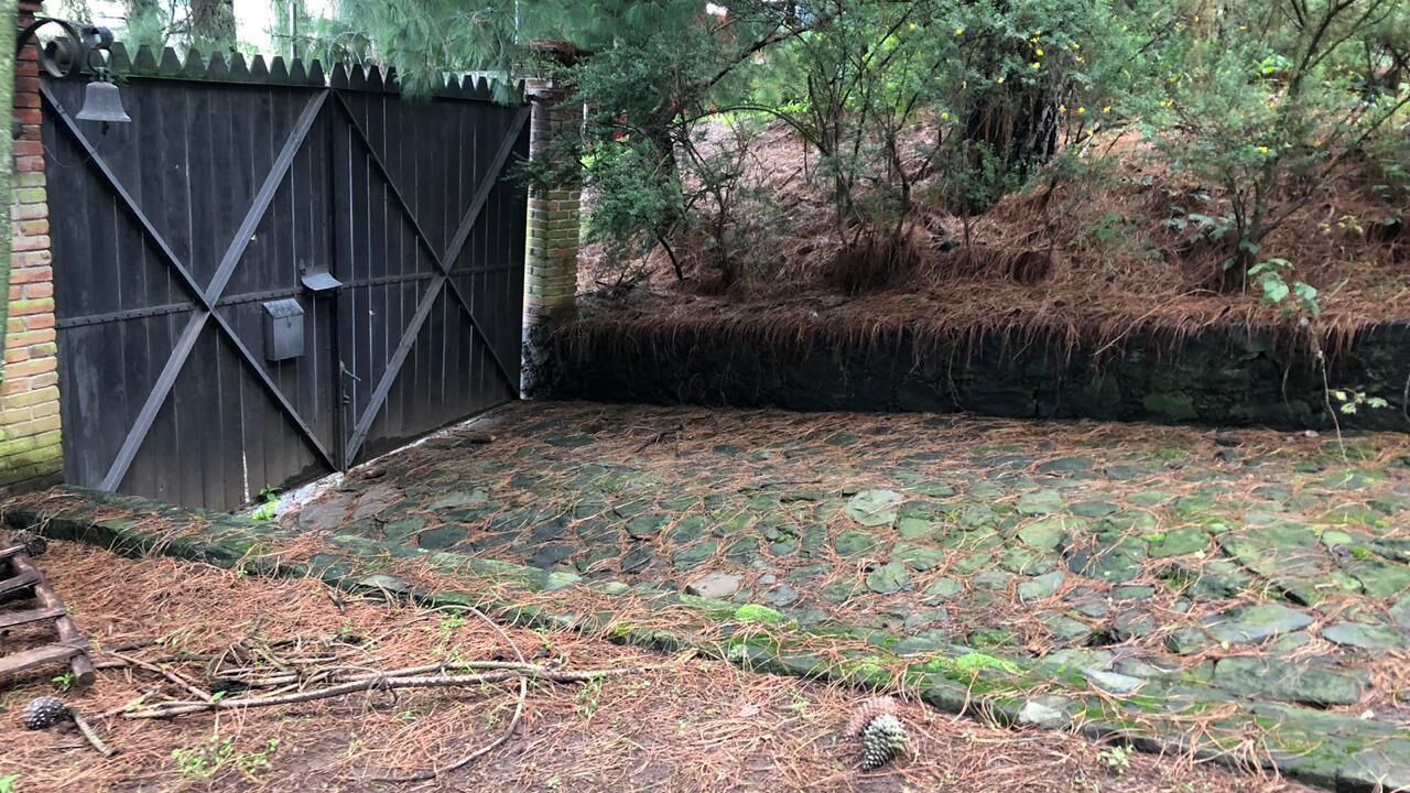 Photo of Outdoor in Alvaro Obregon