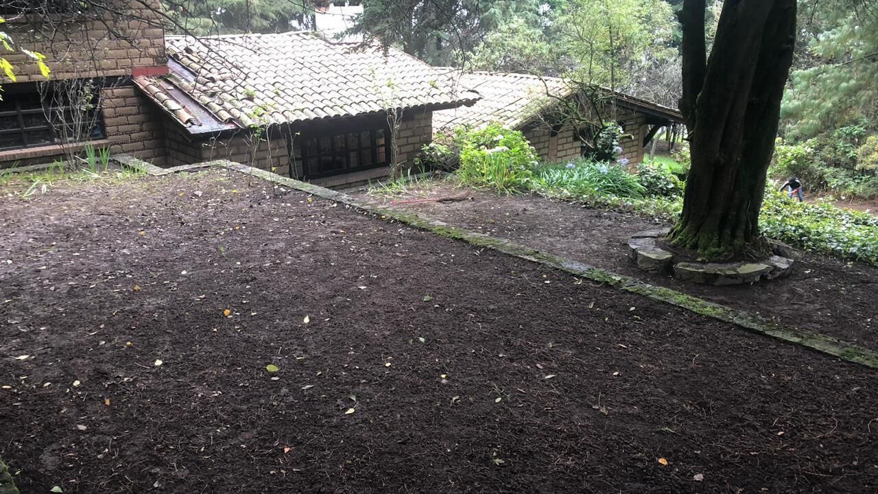 Photo of Outdoor in Alvaro Obregon