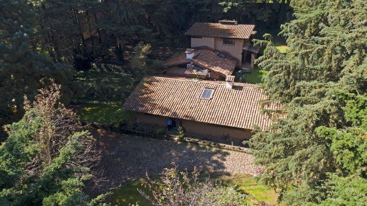 Photo of Outdoor in Alvaro Obregon