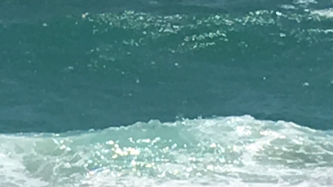 Photo of Others in Puerto Penasco
