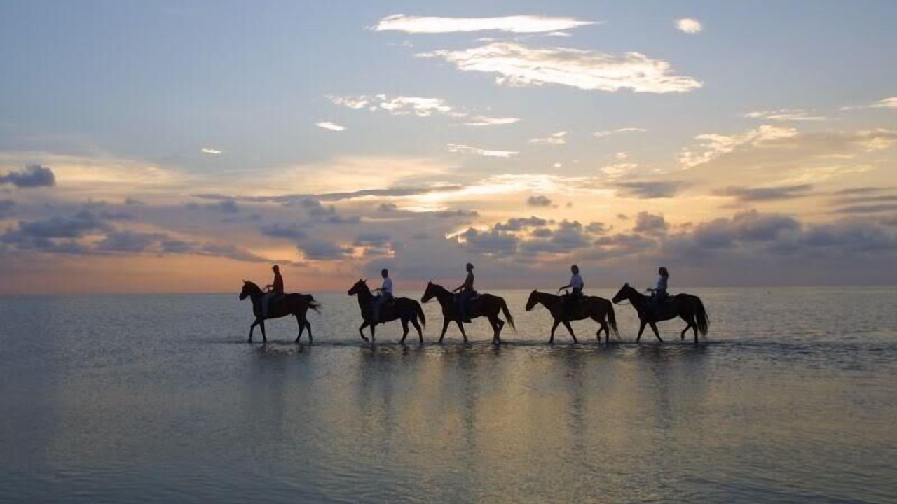 Photo of Others in Sandy Beach
