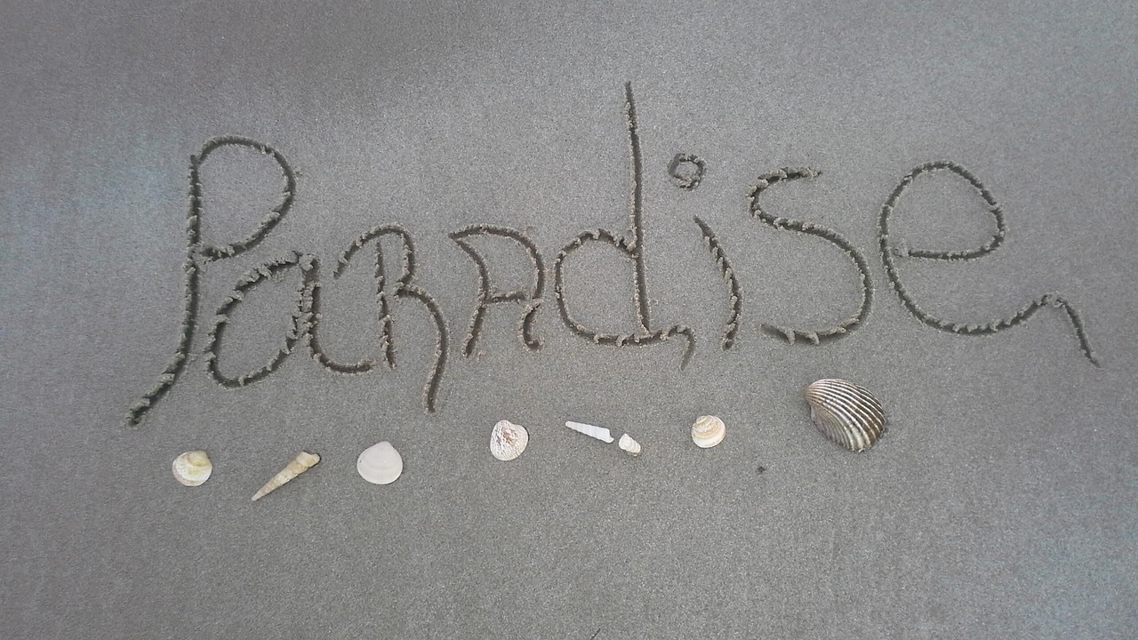 Photo of Others in Sandy Beach