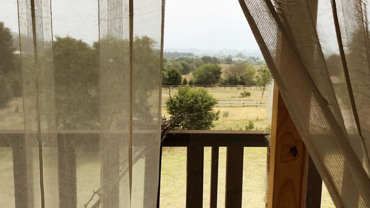 Photo of Others in Zacatlan