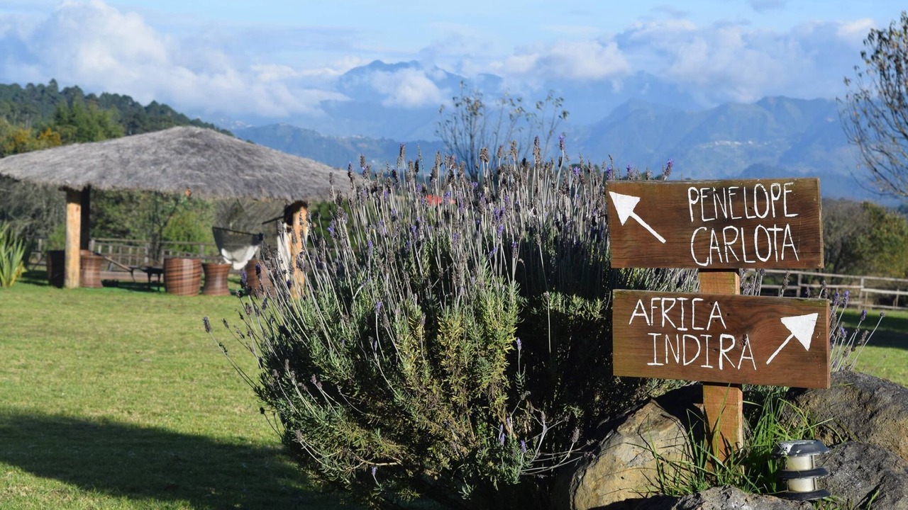 Photo of Outdoor in Zacatlan