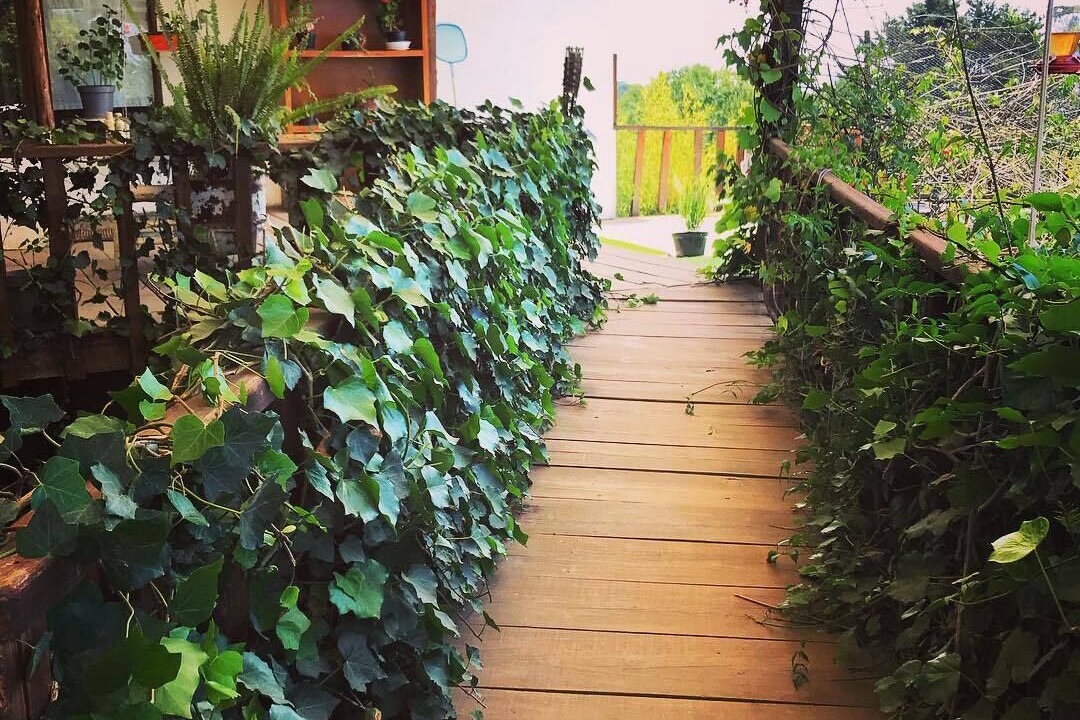 Photo of Outdoor in Zacatlan