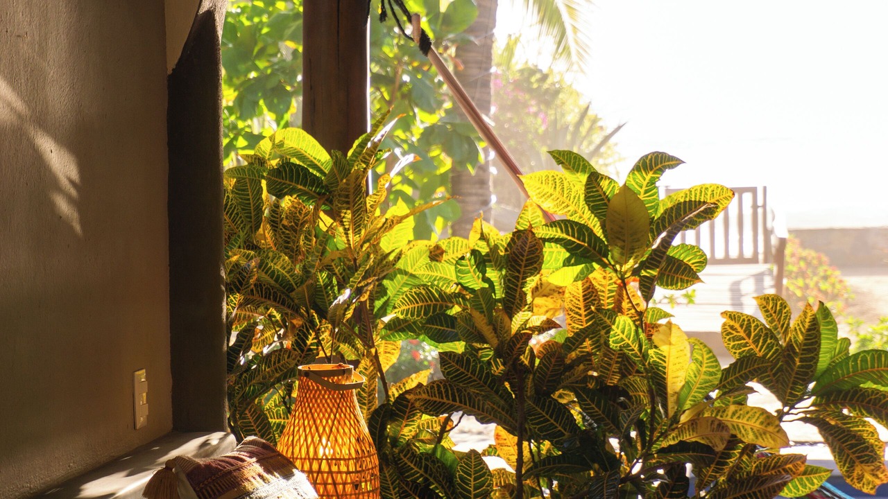 Photo of Bedroom in Troncones