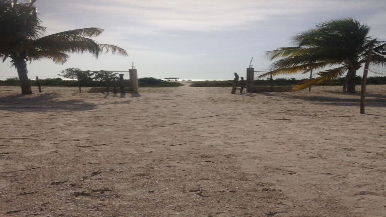 Photo of Others in Celestun