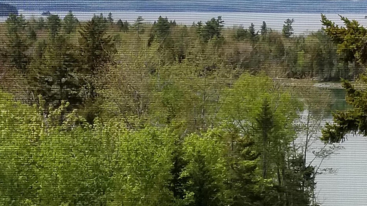 Photo of Others in Gouldsboro