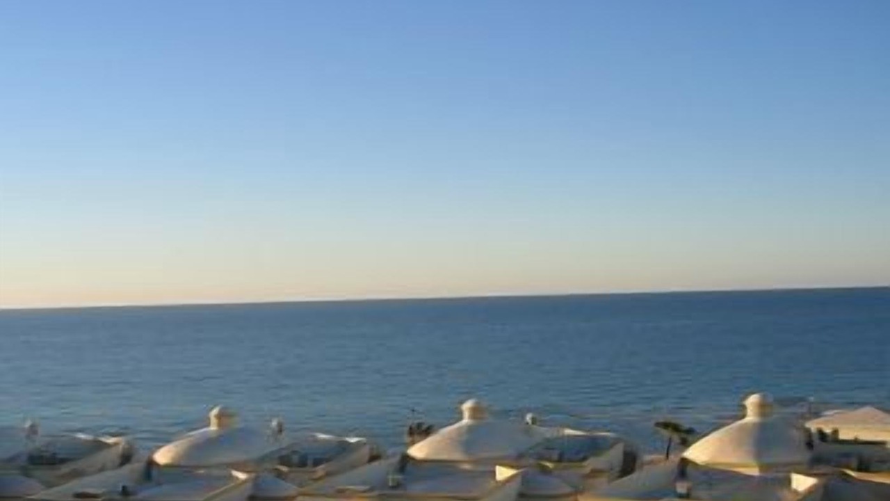 Photo of Others in Sandy Beach
