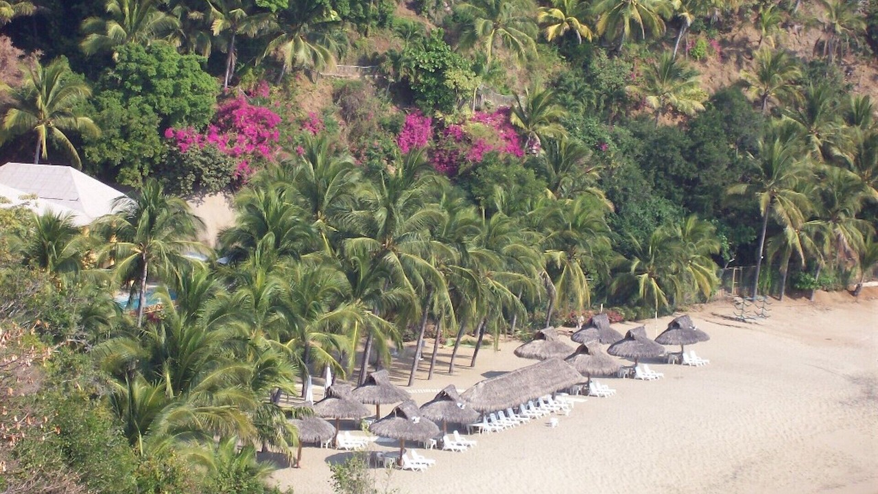 Photo of Others in La Punta