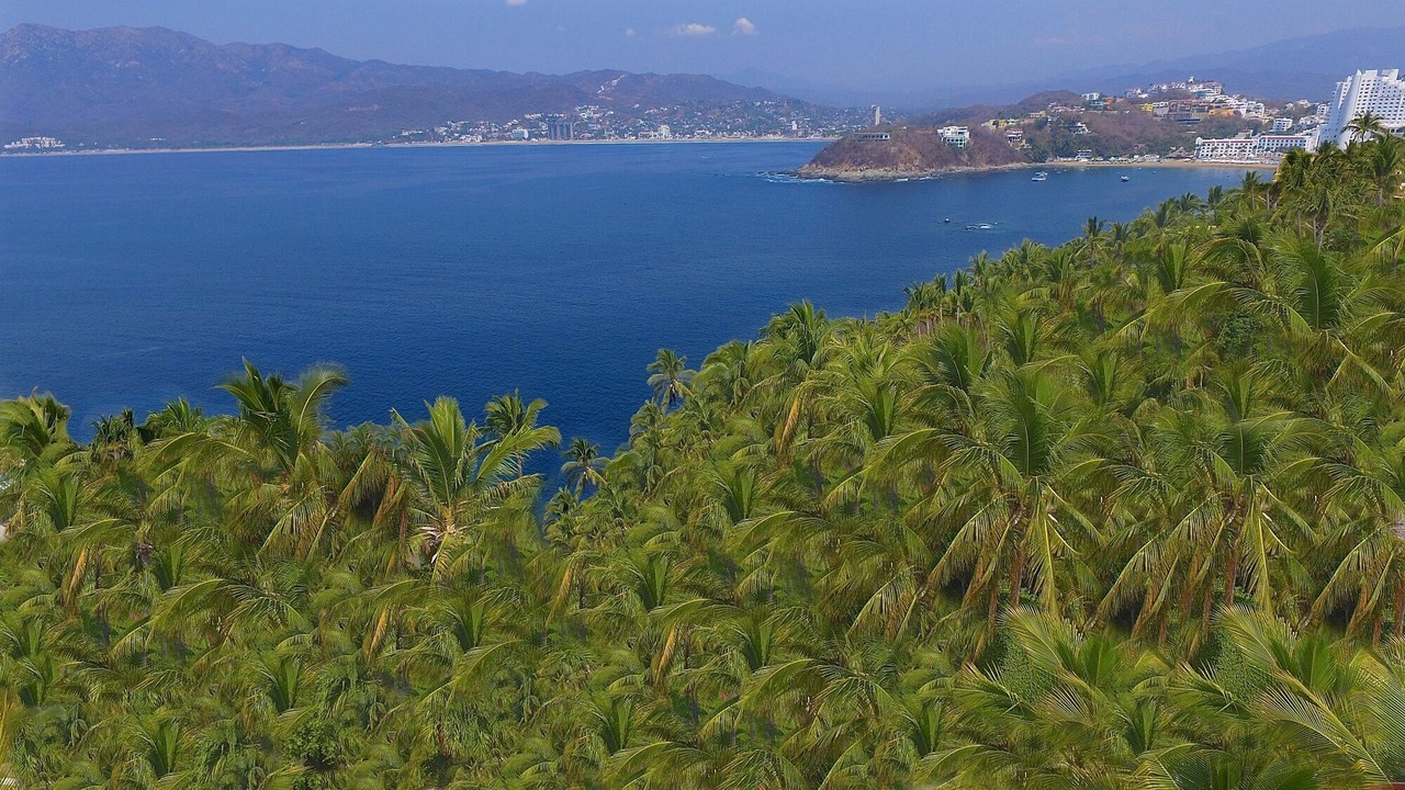 Photo of Others in La Punta