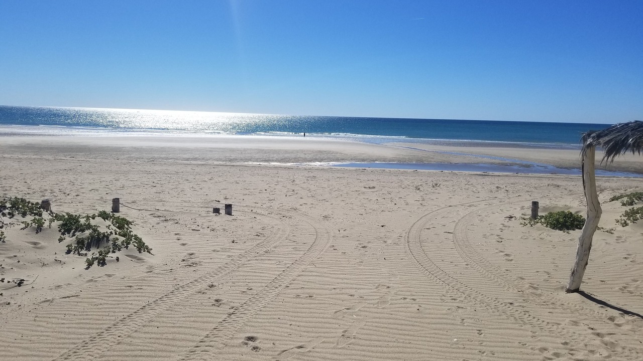 Photo of Others in Puerto Penasco