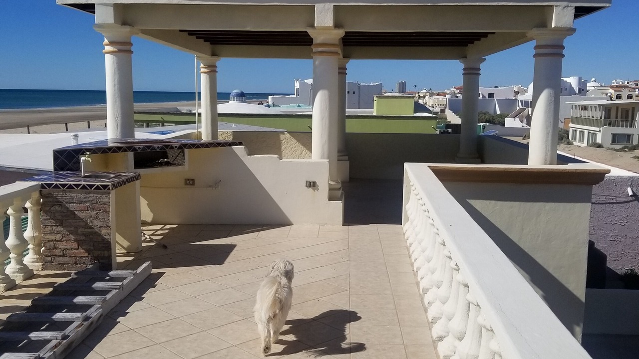 Photo of Others in Puerto Penasco