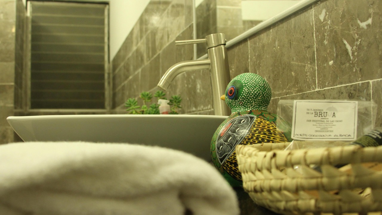 Photo of Bathroom in Zona Centro