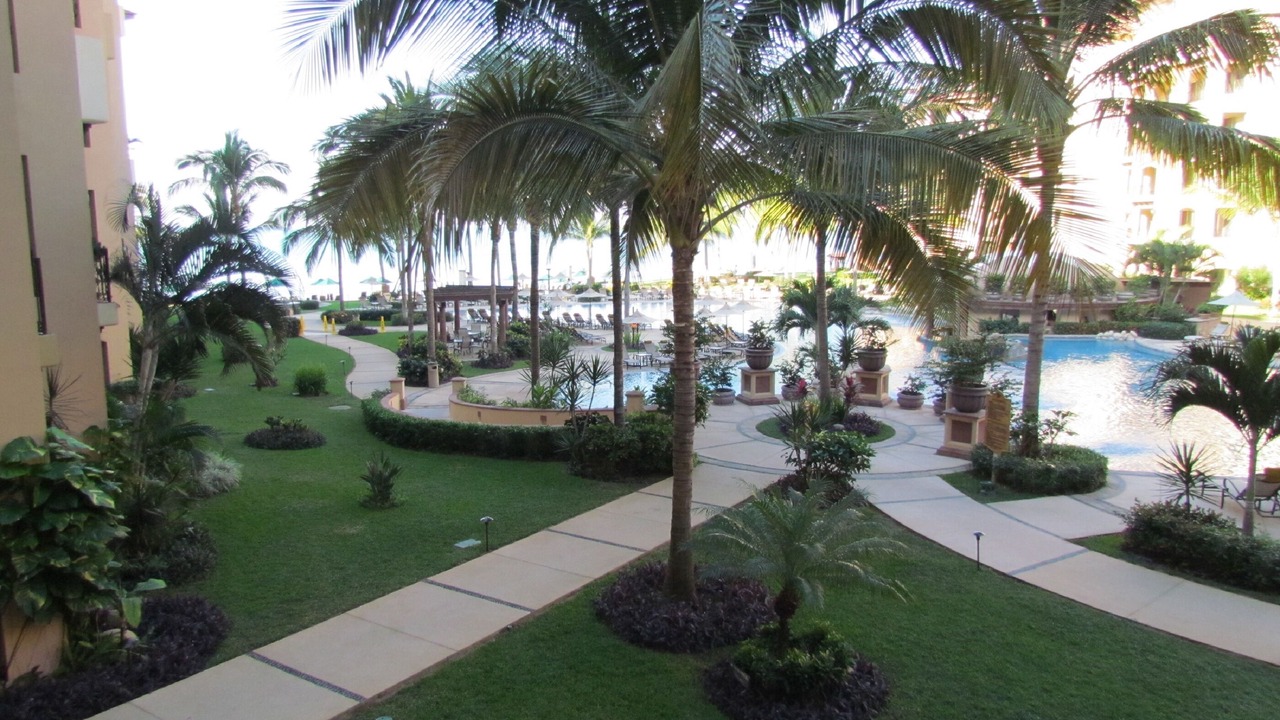 Photo of Outdoor in Flamingos