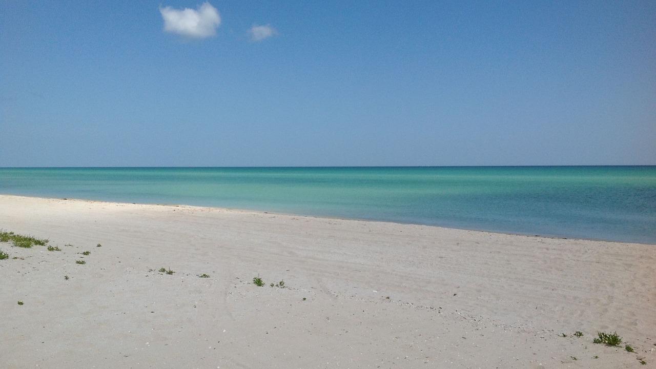 Photo of Others in Sisal