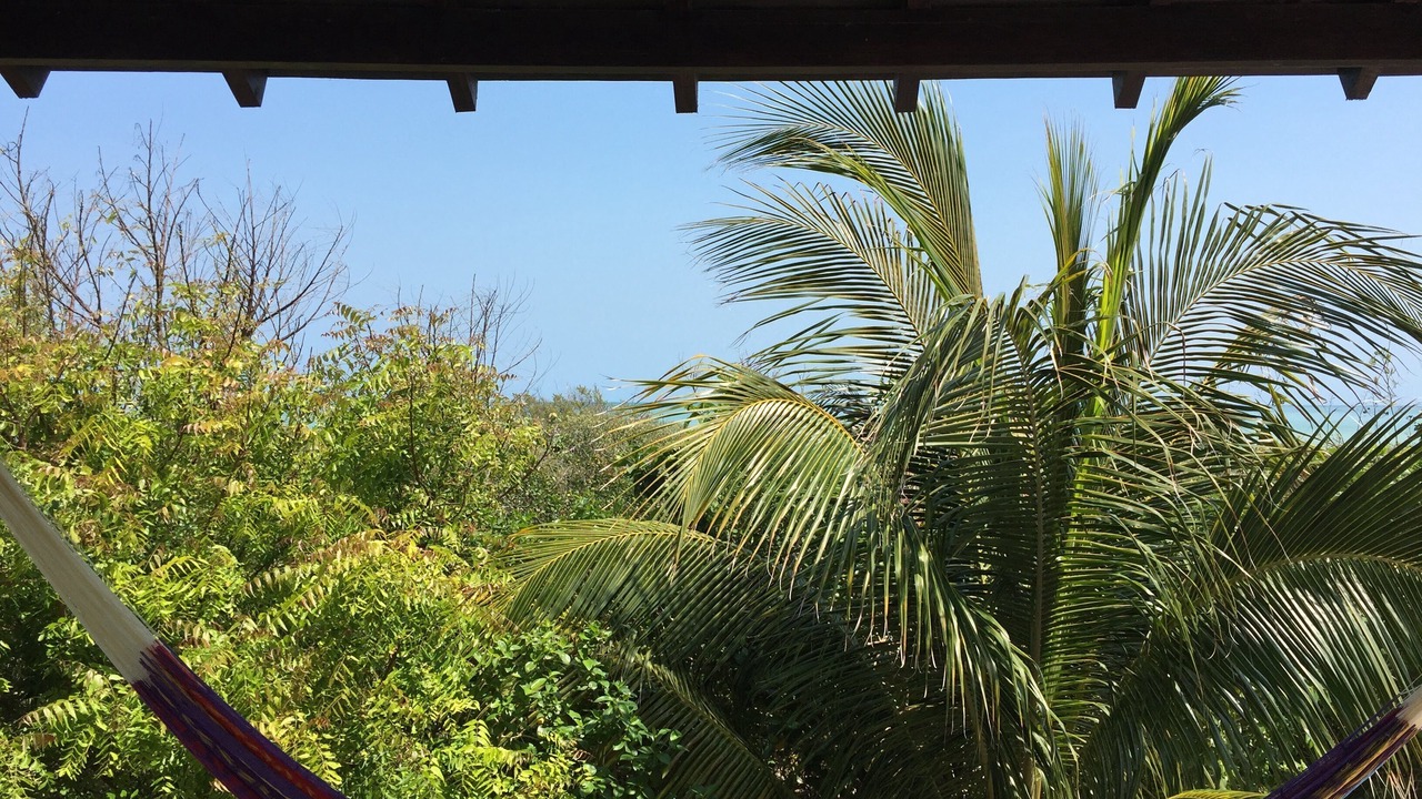 Photo of Outdoor in Sisal