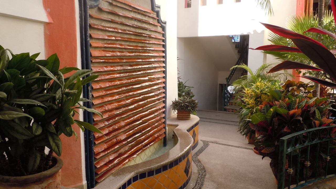 Photo of Outdoor in Proyecto escola