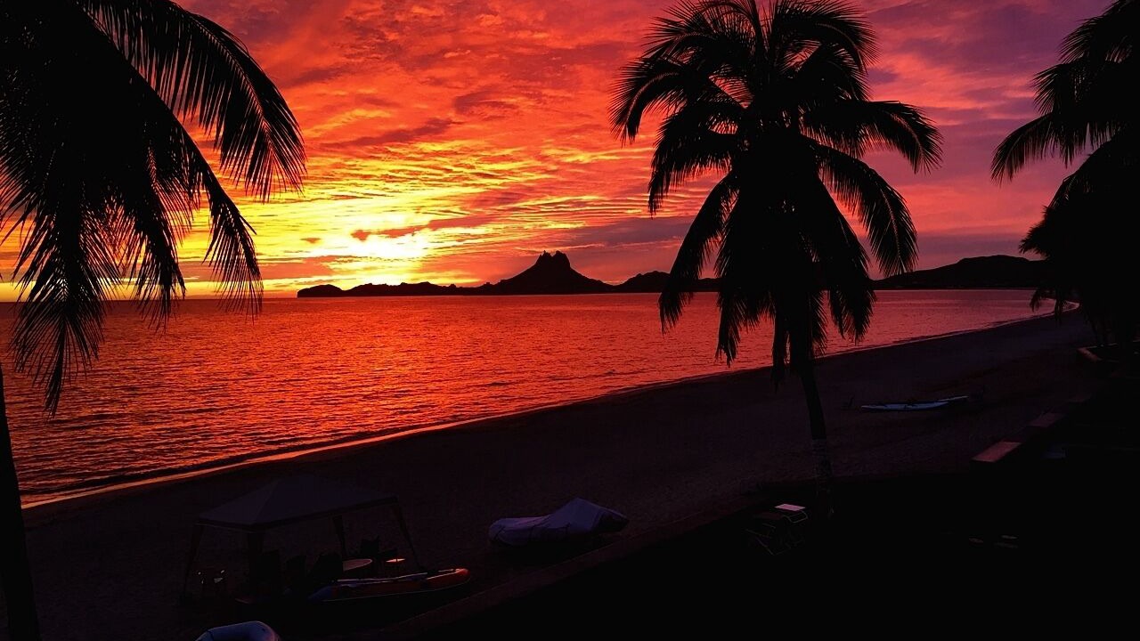 Photo of Outdoor in San Carlos