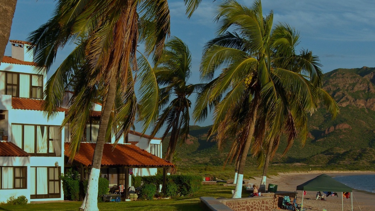 Photo of Outdoor in San Carlos