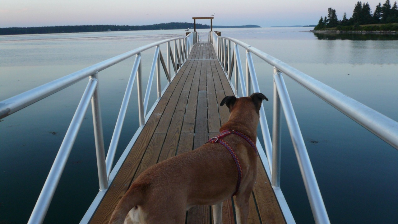 Photo of Outdoor in Pleasant Point
