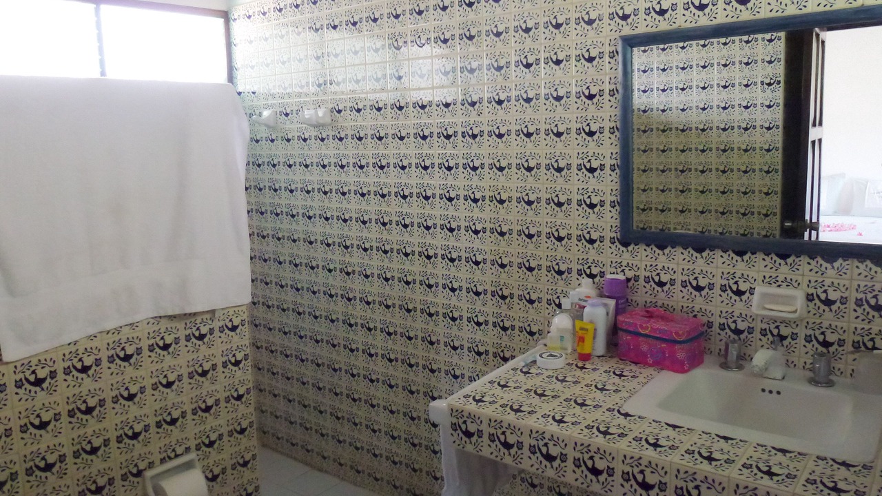 Photo of Bathroom in Barra de Potosi