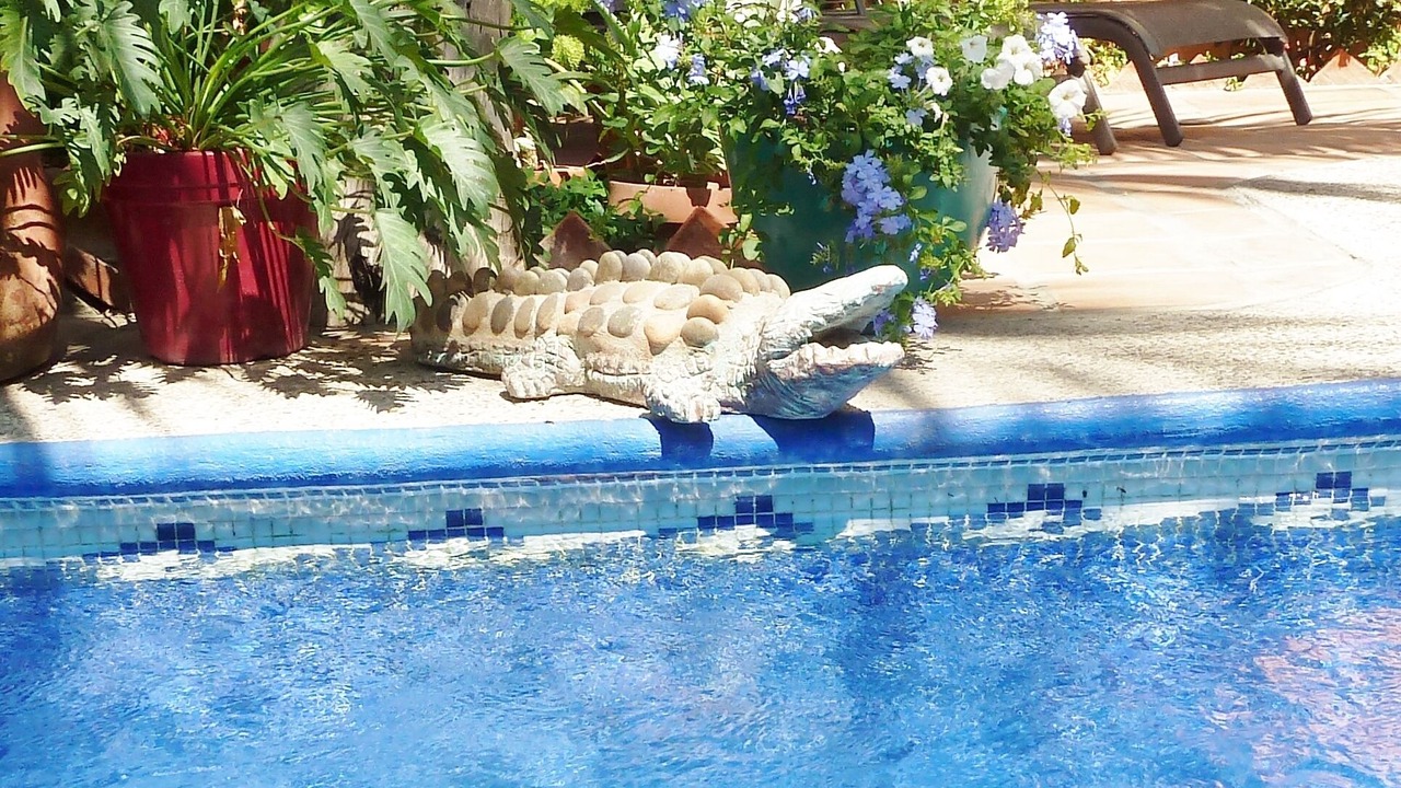 Photo of Outdoor in Bucerias