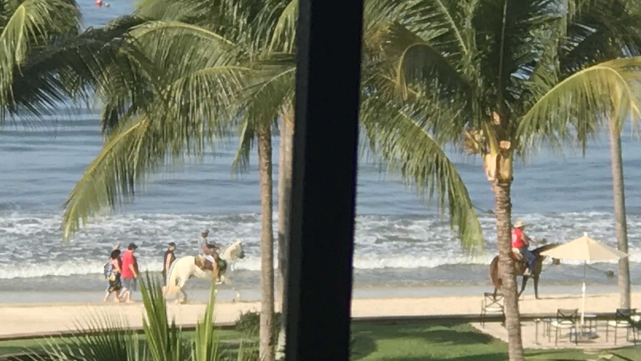 Photo of Others in Flamingos