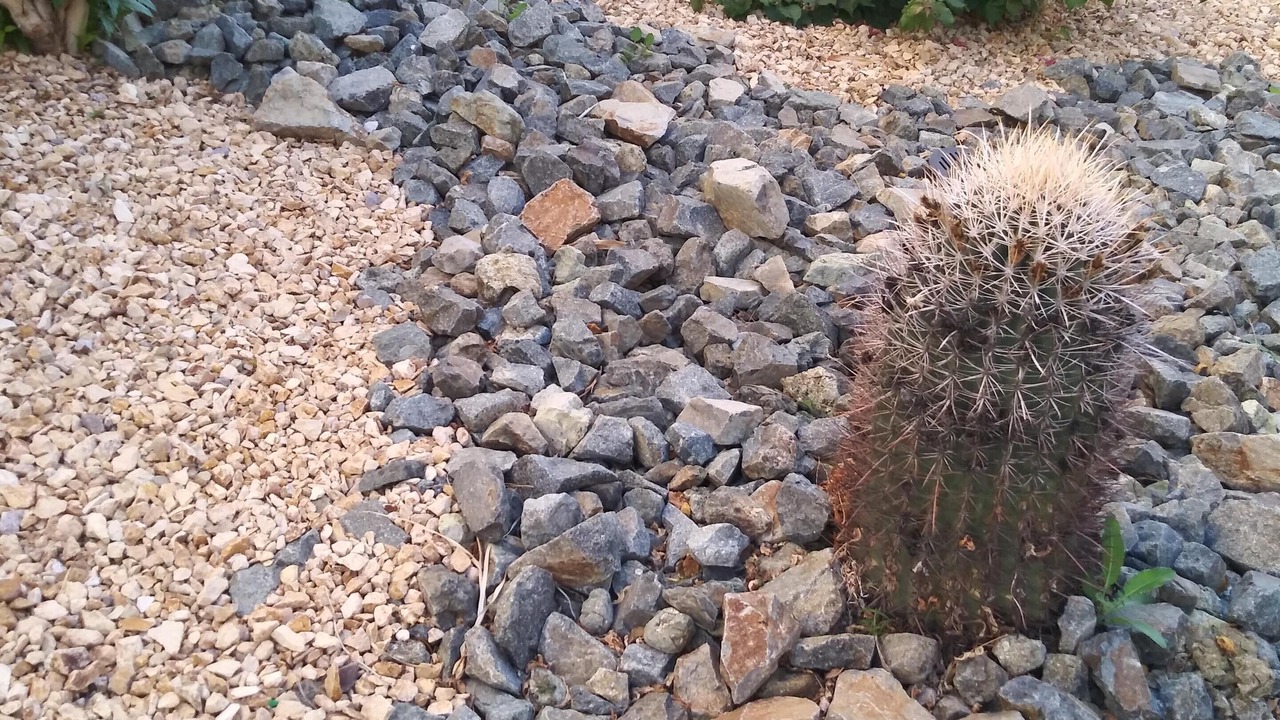 Photo of Outdoor in Palm Springs