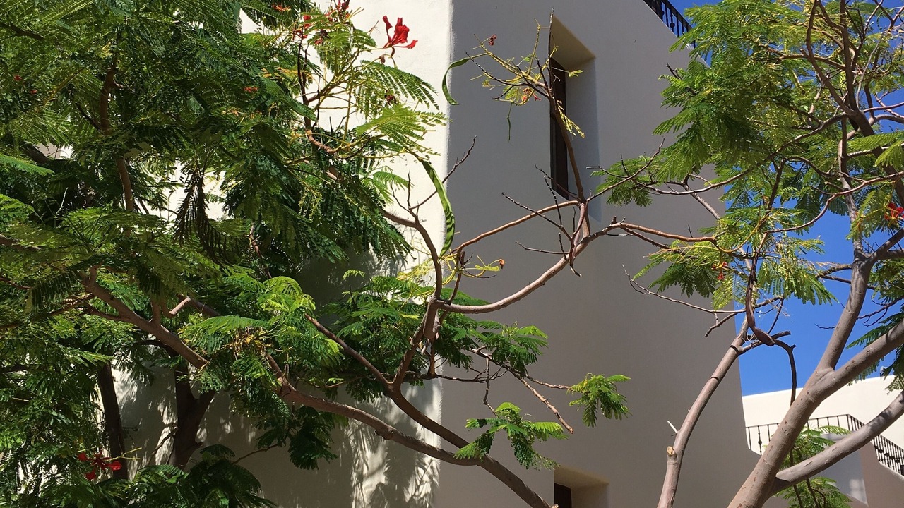 Photo of Outdoor in Nopolo