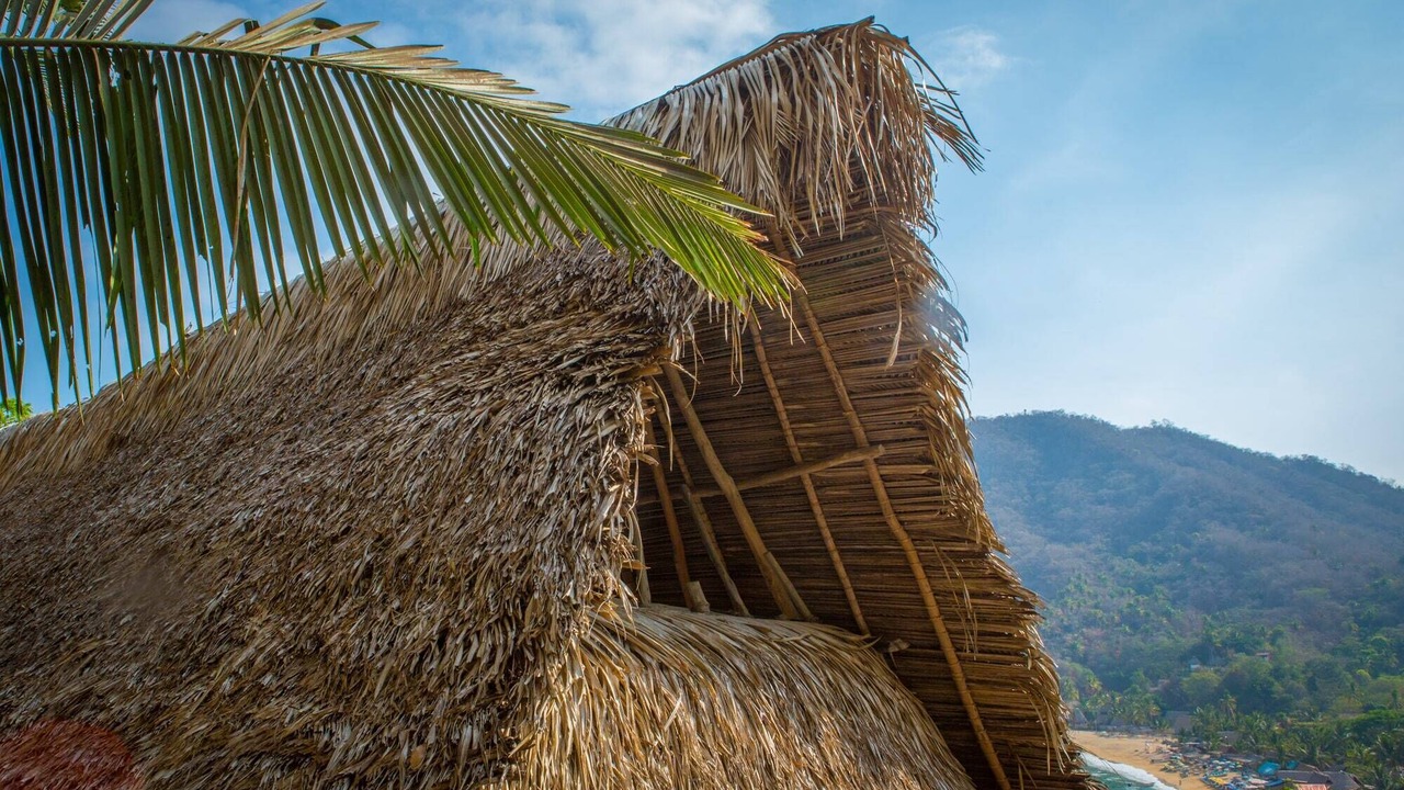 Photo of Others in Yelapa