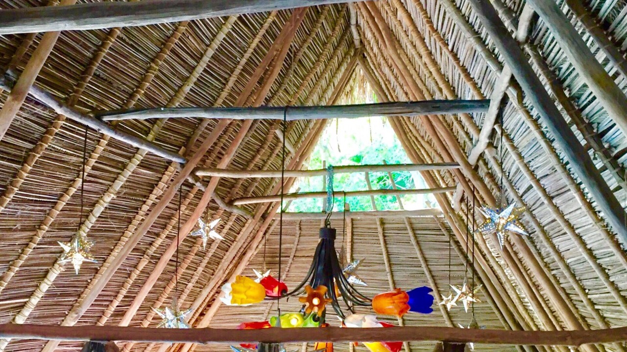Photo of Others in Yelapa