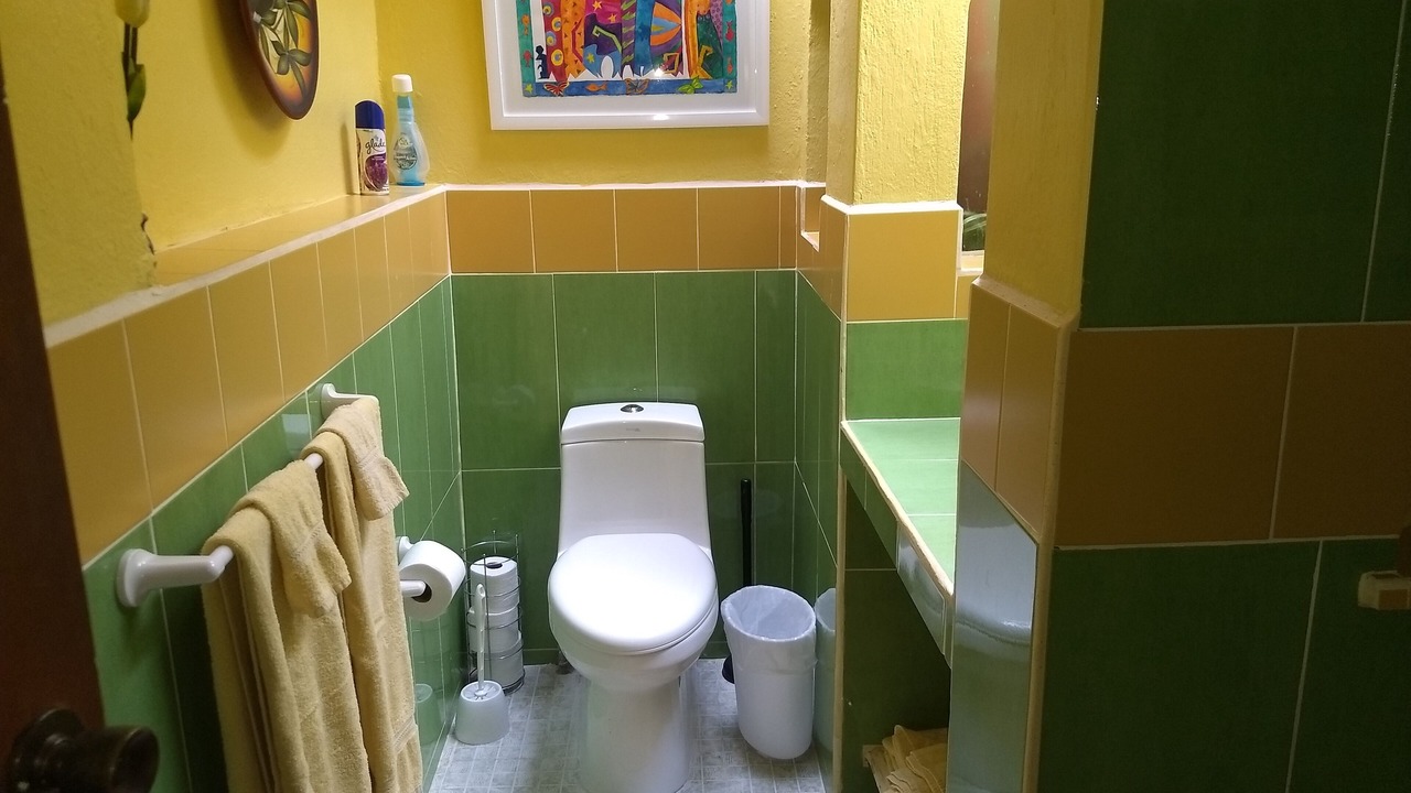 Photo of Bathroom in Ajijic