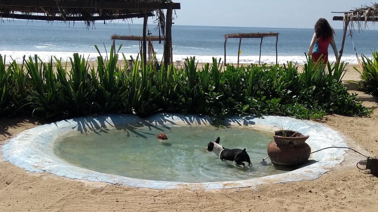 Photo of Others in Acapulco