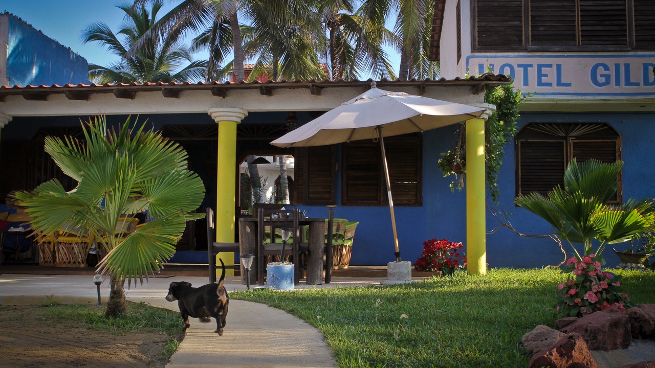 Photo of Outdoor in Acapulco