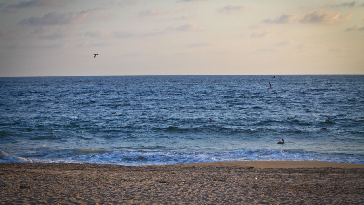 Photo of Others in Acapulco