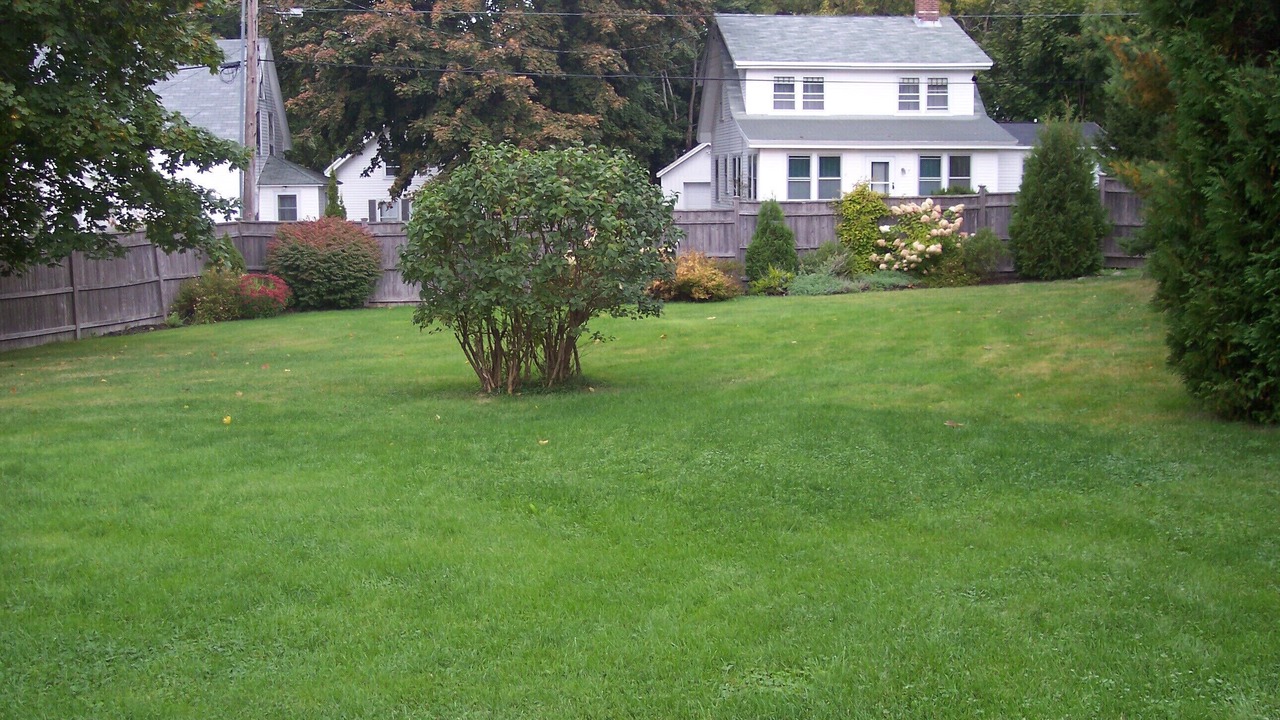 Photo of Others in Northeast Harbor