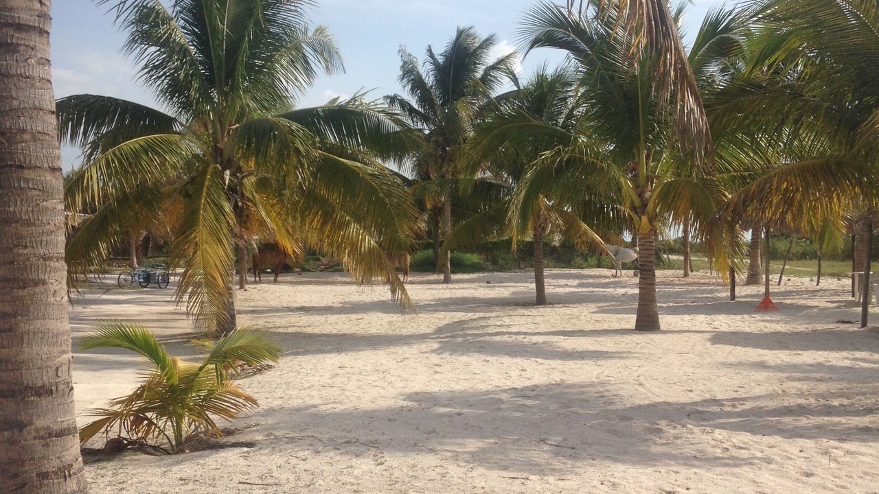 Photo of Outdoor in Celestun