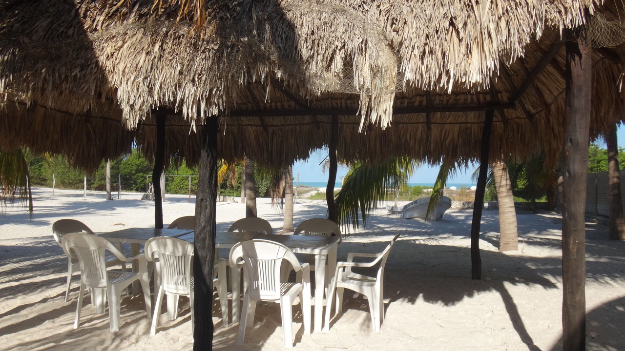 Photo of Outdoor in Celestun