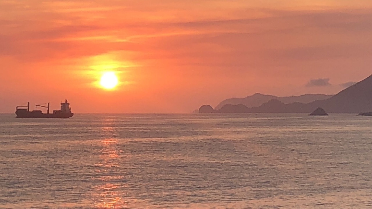 Photo of Others in Manzanillo