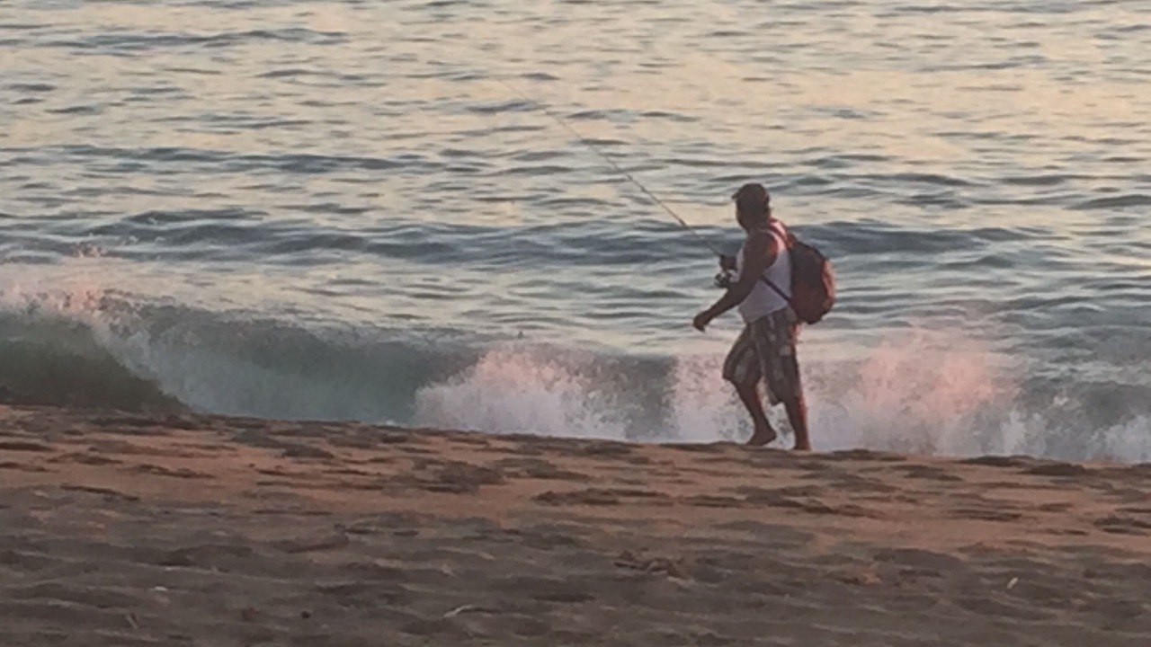 Photo of Others in Manzanillo